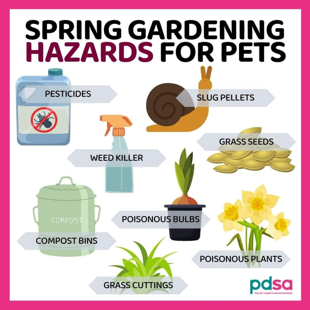 Spring gardening hazards for dogs
